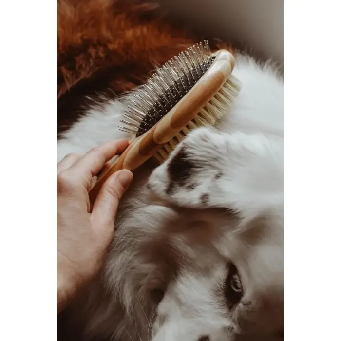 Dog Brush - Image 2