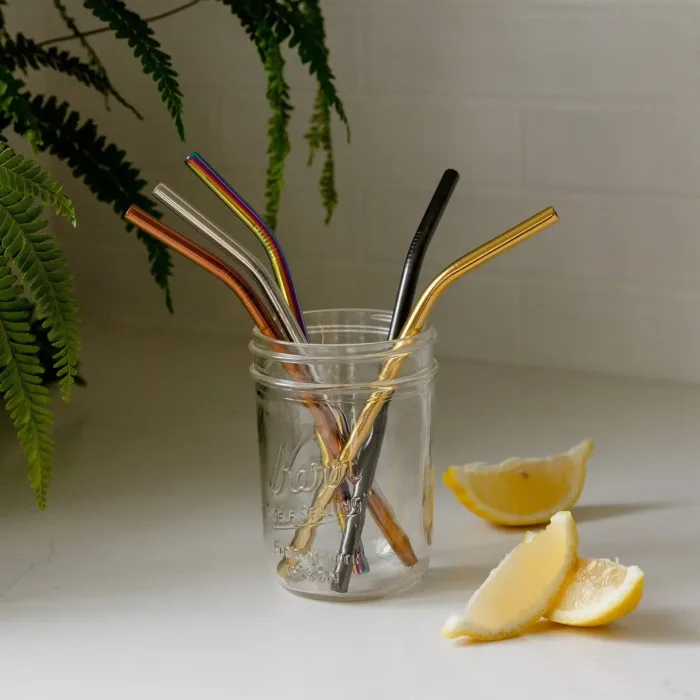 Stainless Steel Straw by Zero Waste Shop